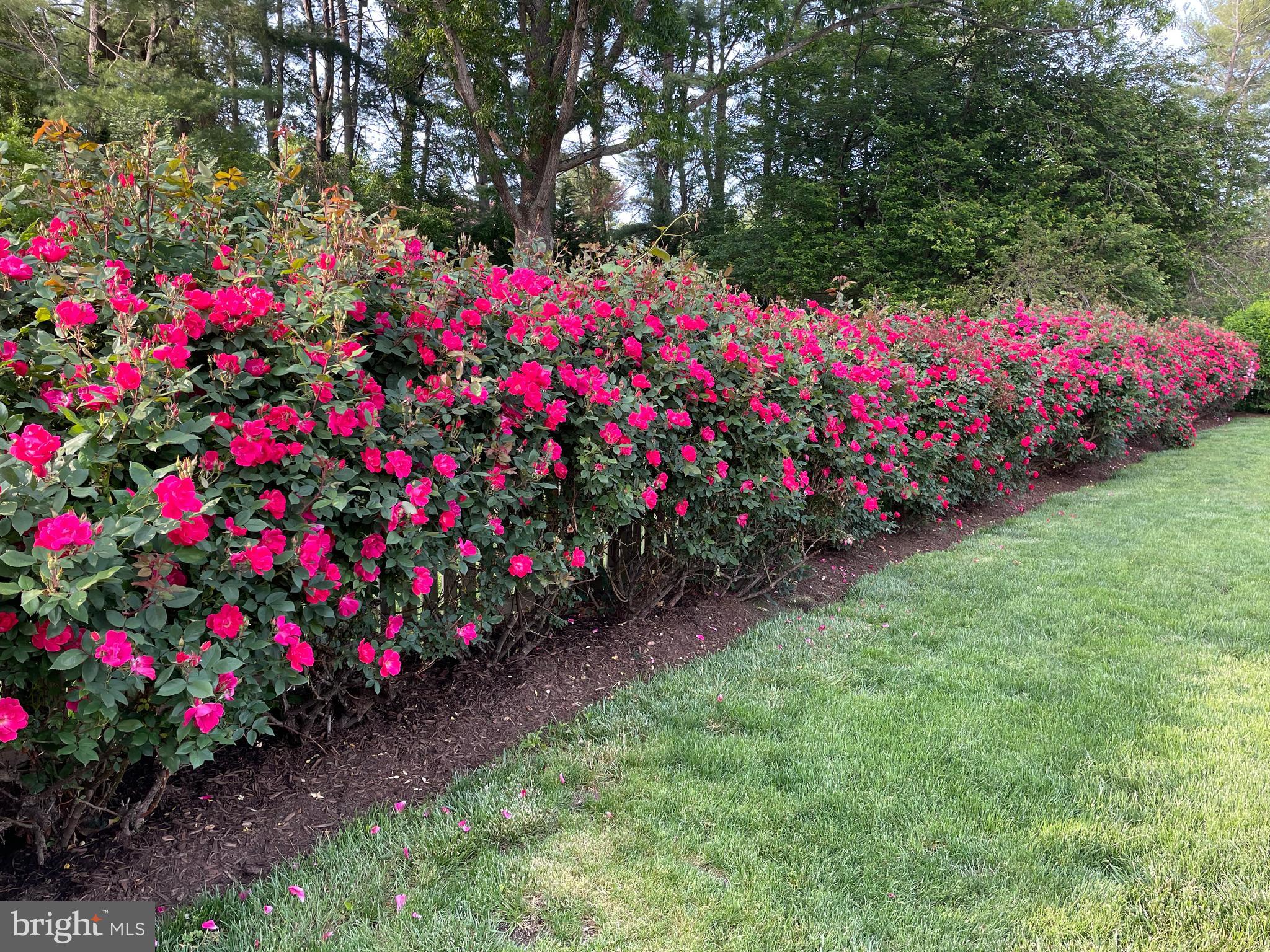 FOX LAKE - Residential