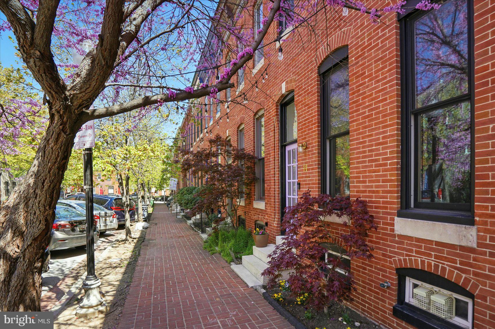 BUTCHERS HILL - Residential