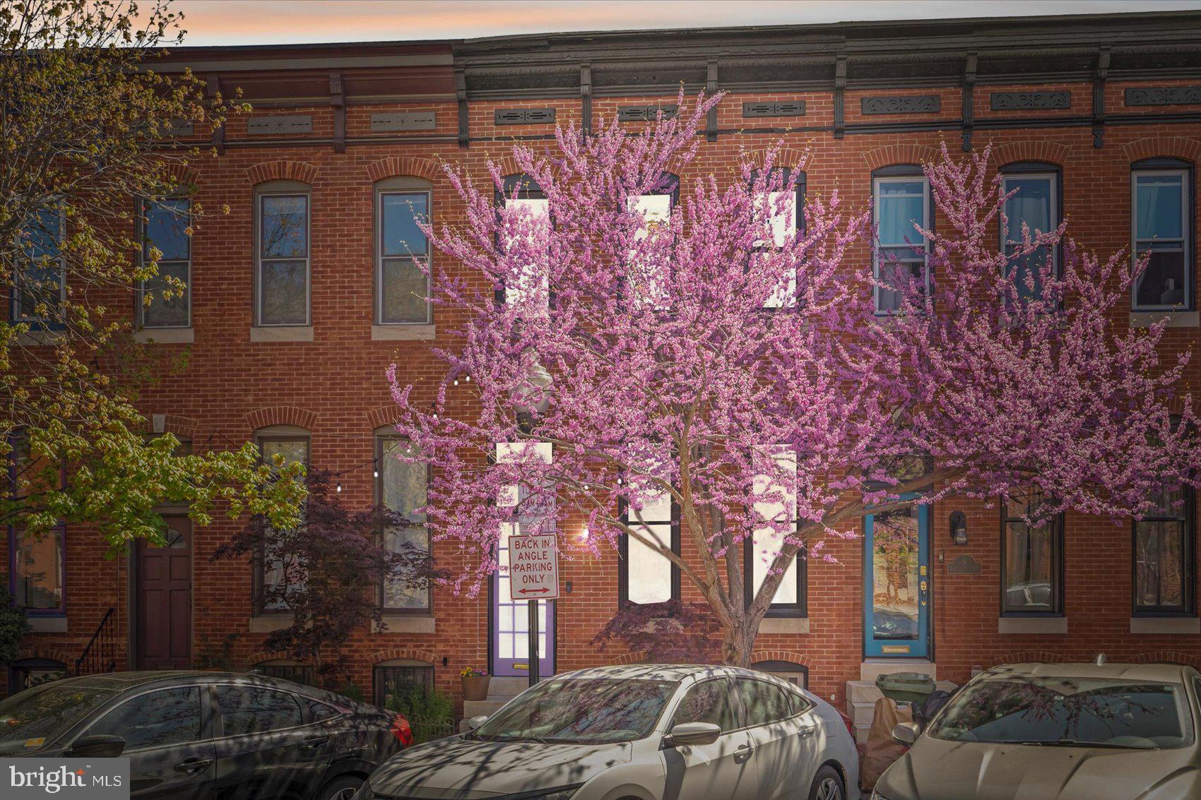 BUTCHERS HILL - Residential