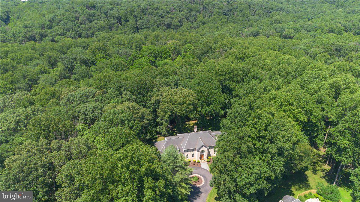 AVERY FOREST - Residential