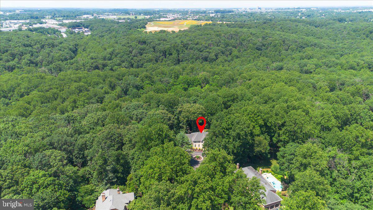 AVERY FOREST - Residential