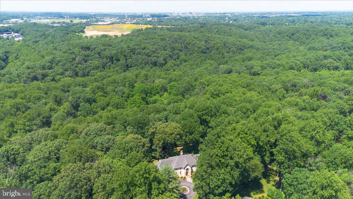 AVERY FOREST - Residential