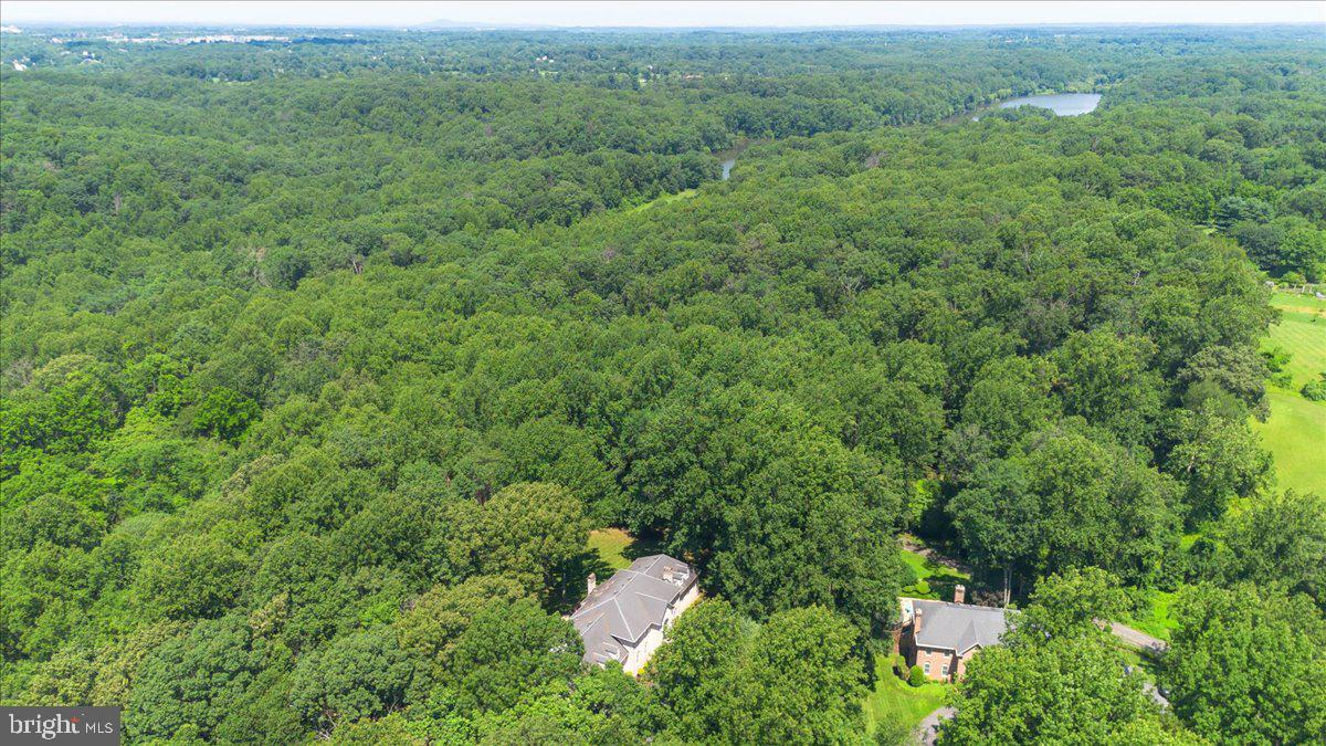 AVERY FOREST - Residential