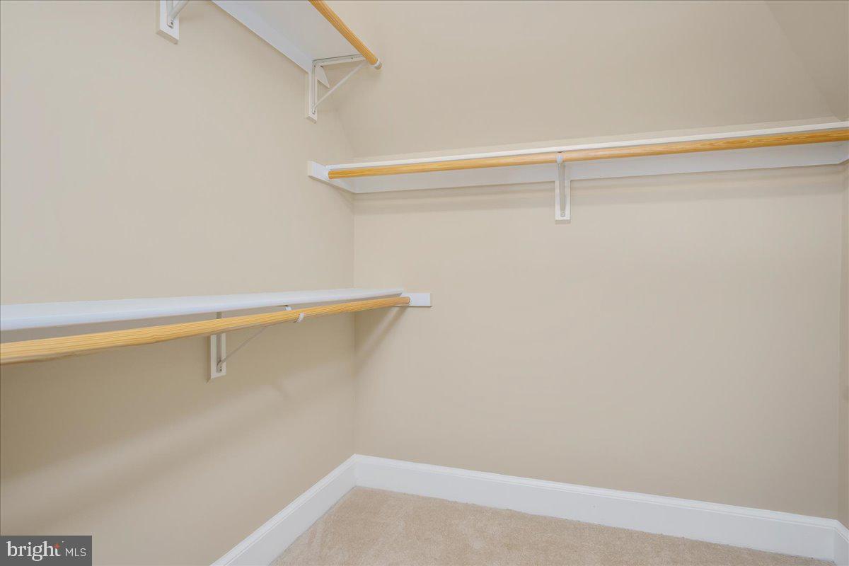 AVERY FOREST - Residential