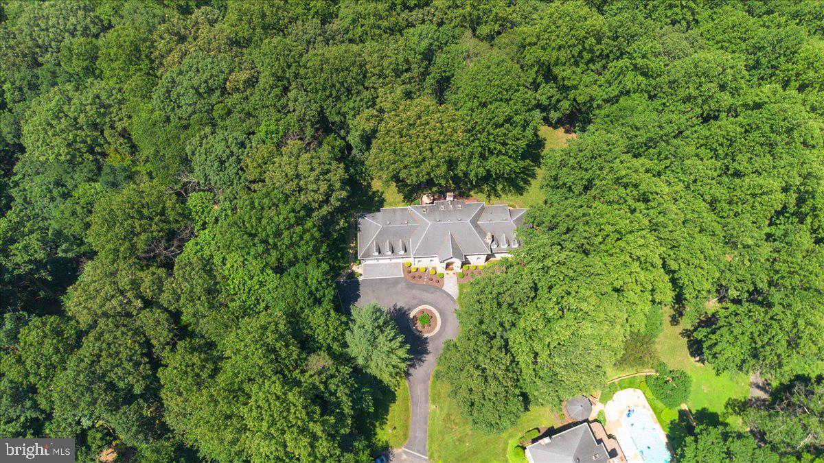 AVERY FOREST - Residential