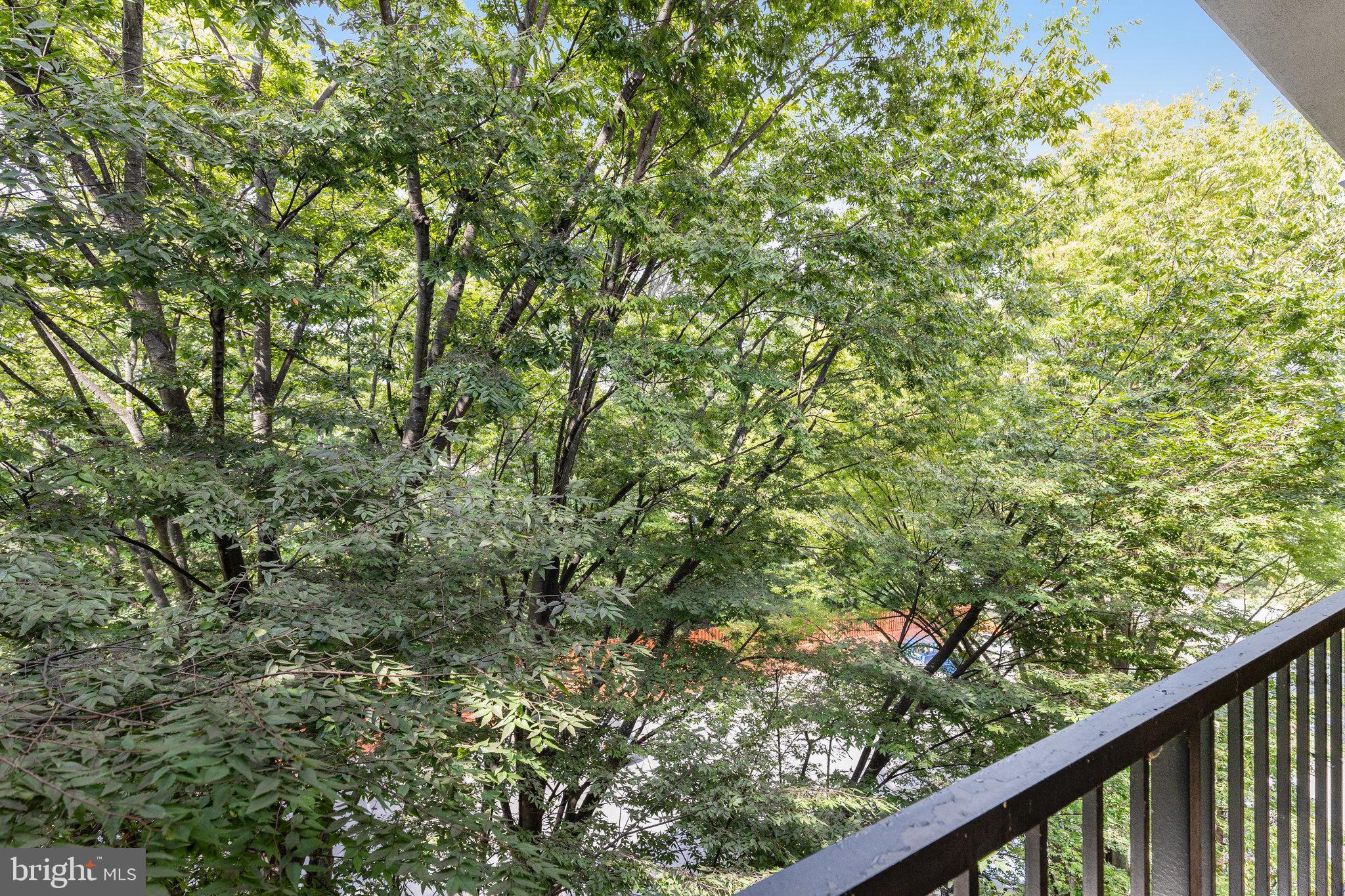 IVYMOUNT COURT - Residential