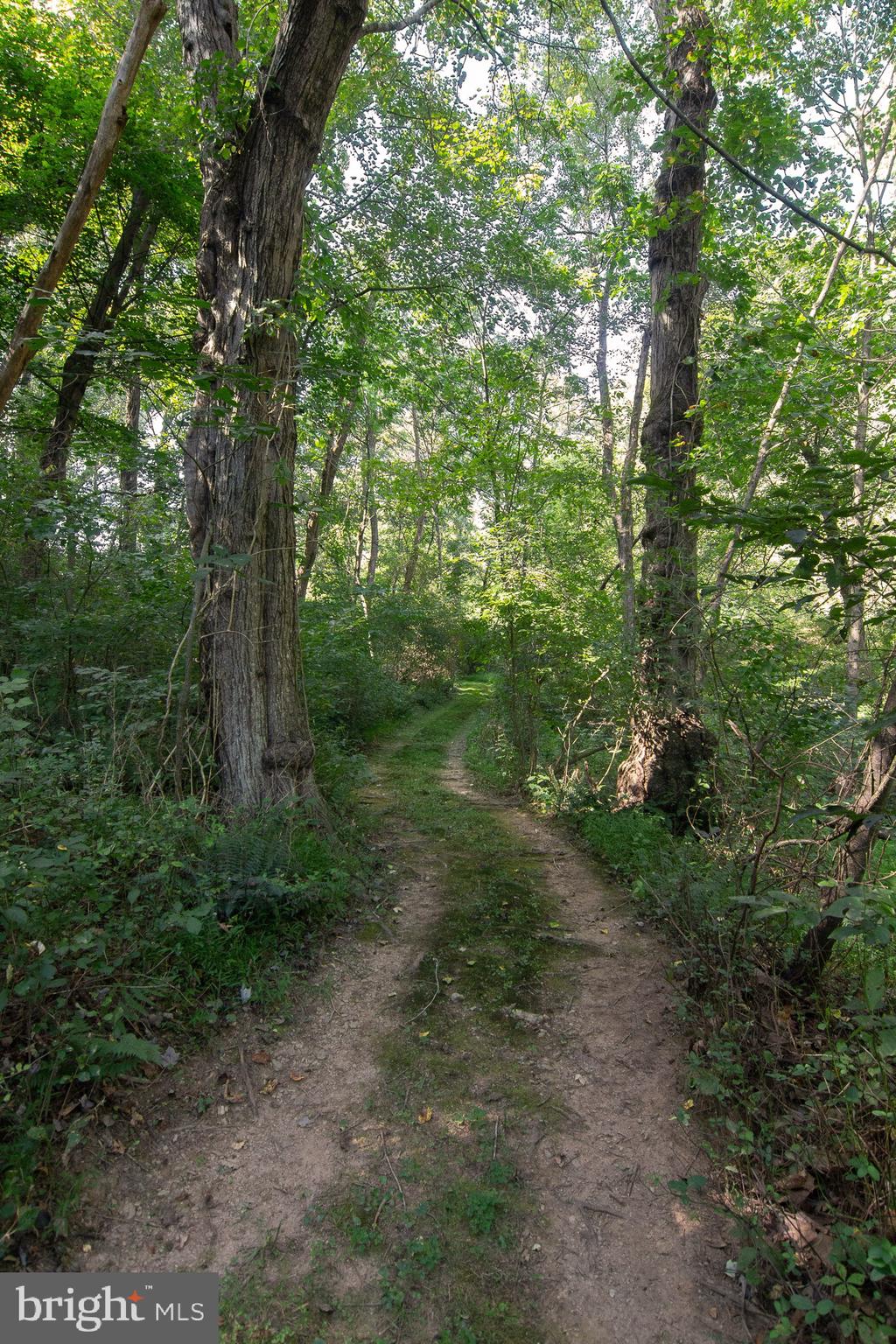 HEREFORD - Residential