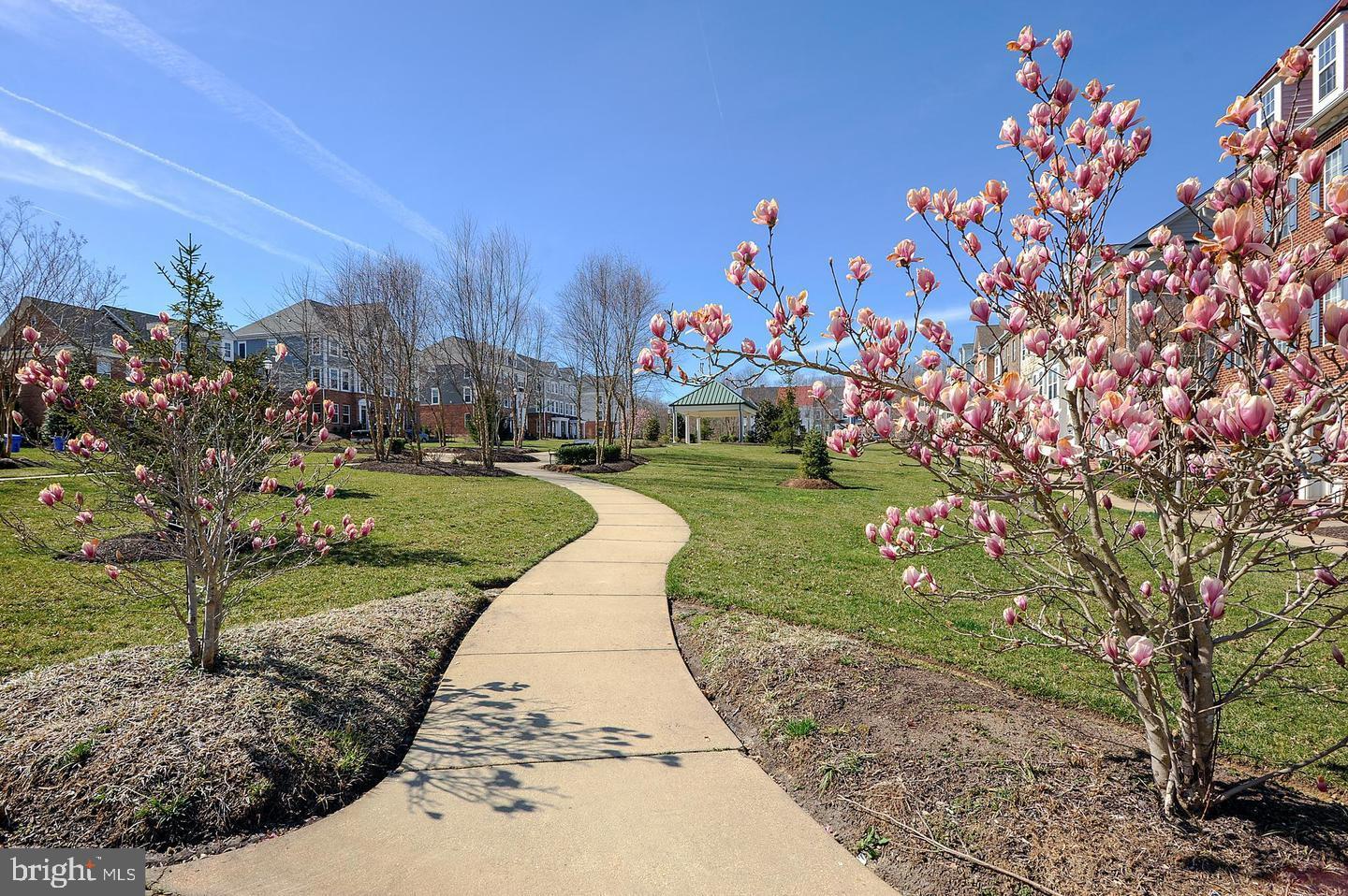 STEEPLECHASE - Residential