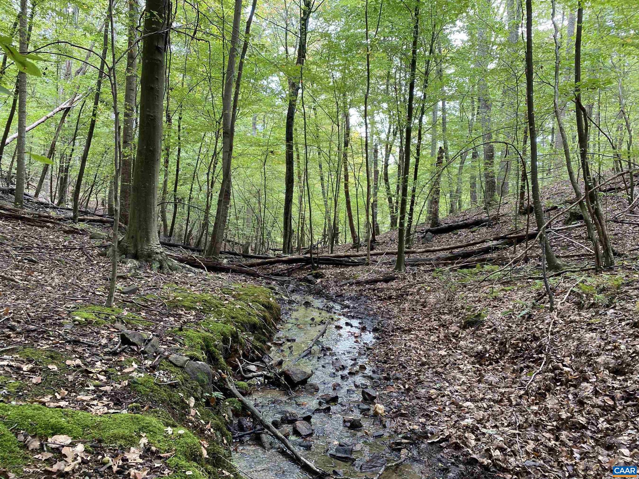 NONE AVAILABLE - Land