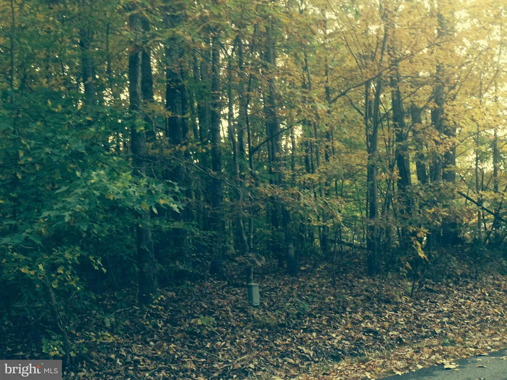 14710 Rapidan Road, Fredericksburg, VA 22407