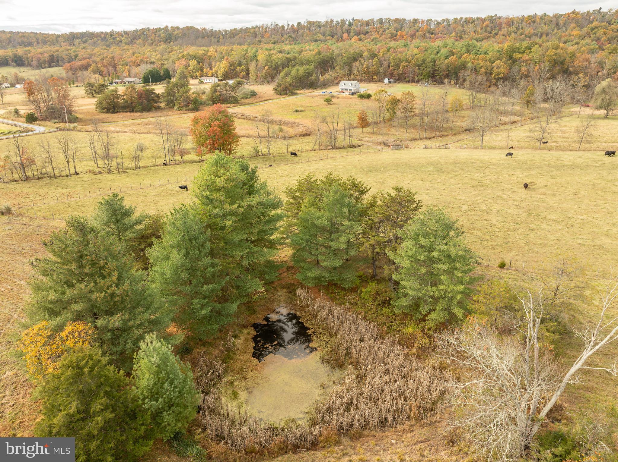 GREEN PINE ESTATES - Residential