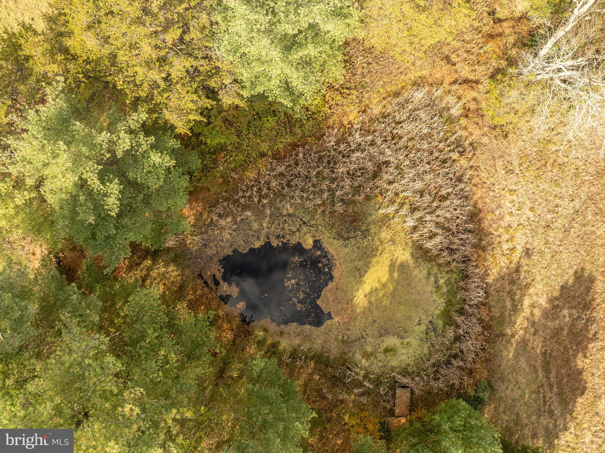 GREEN PINE ESTATES - Residential