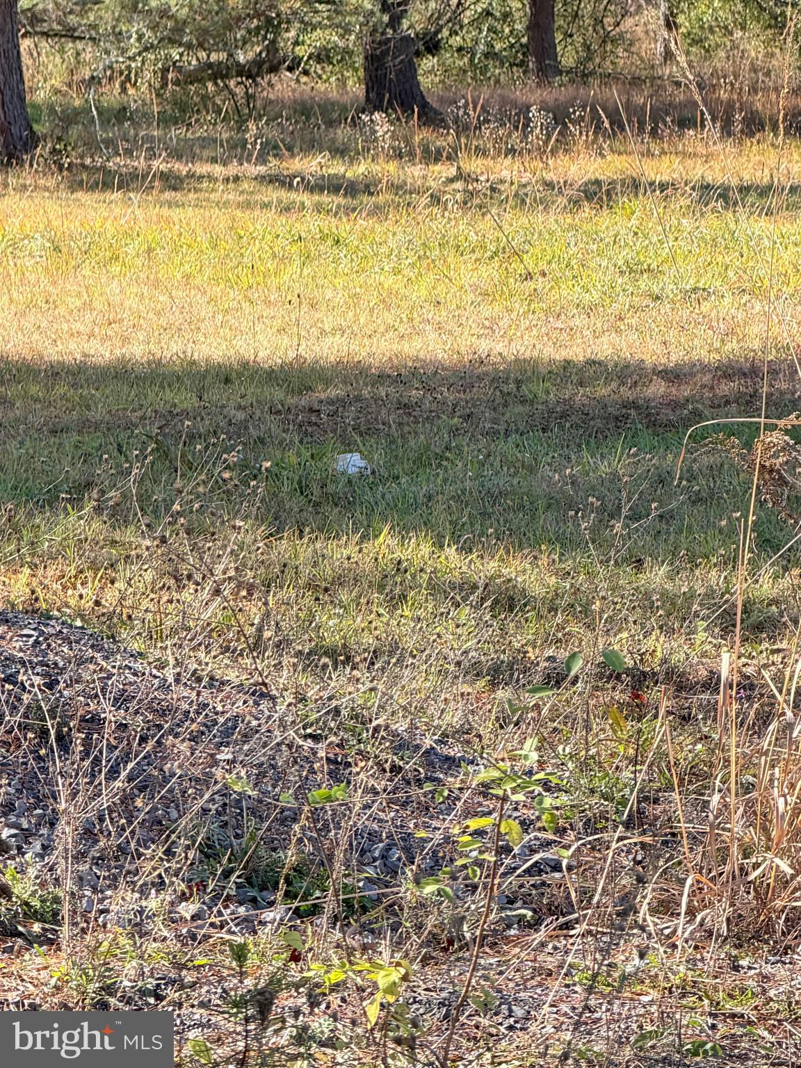 GREEN PINE ESTATES - Residential