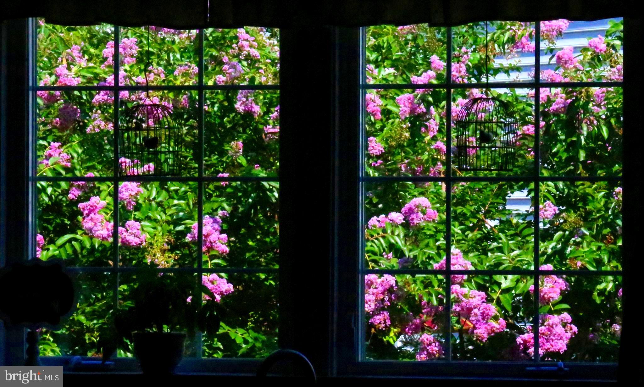 PRESIDENTIAL HILLS - Residential