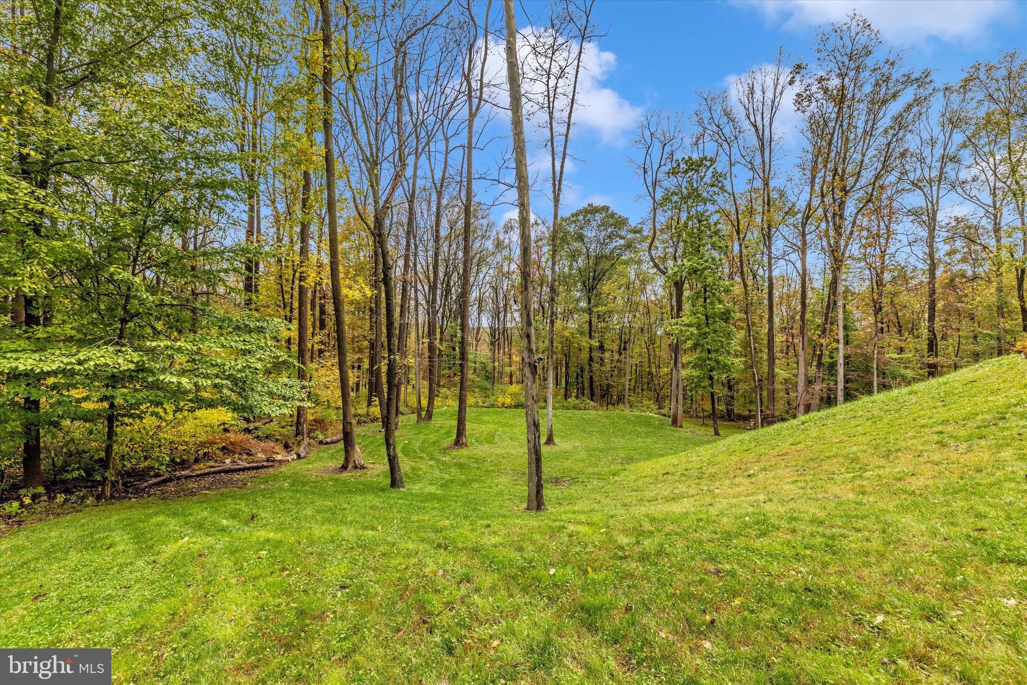 FOX TOWER KNOLLS - Residential