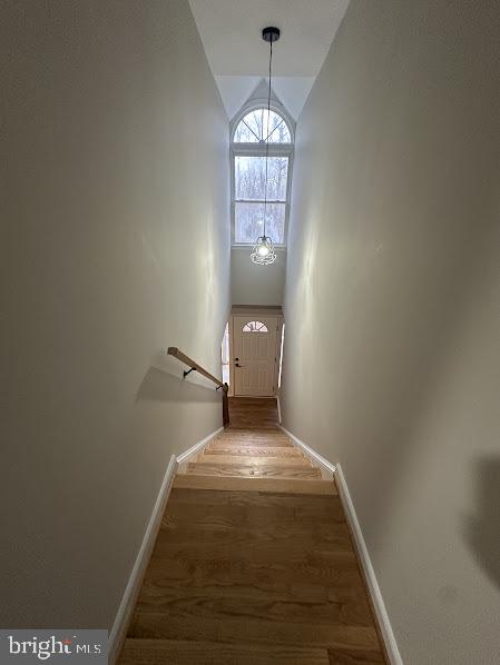 WILDERNESS PARK ESTATES - Residential