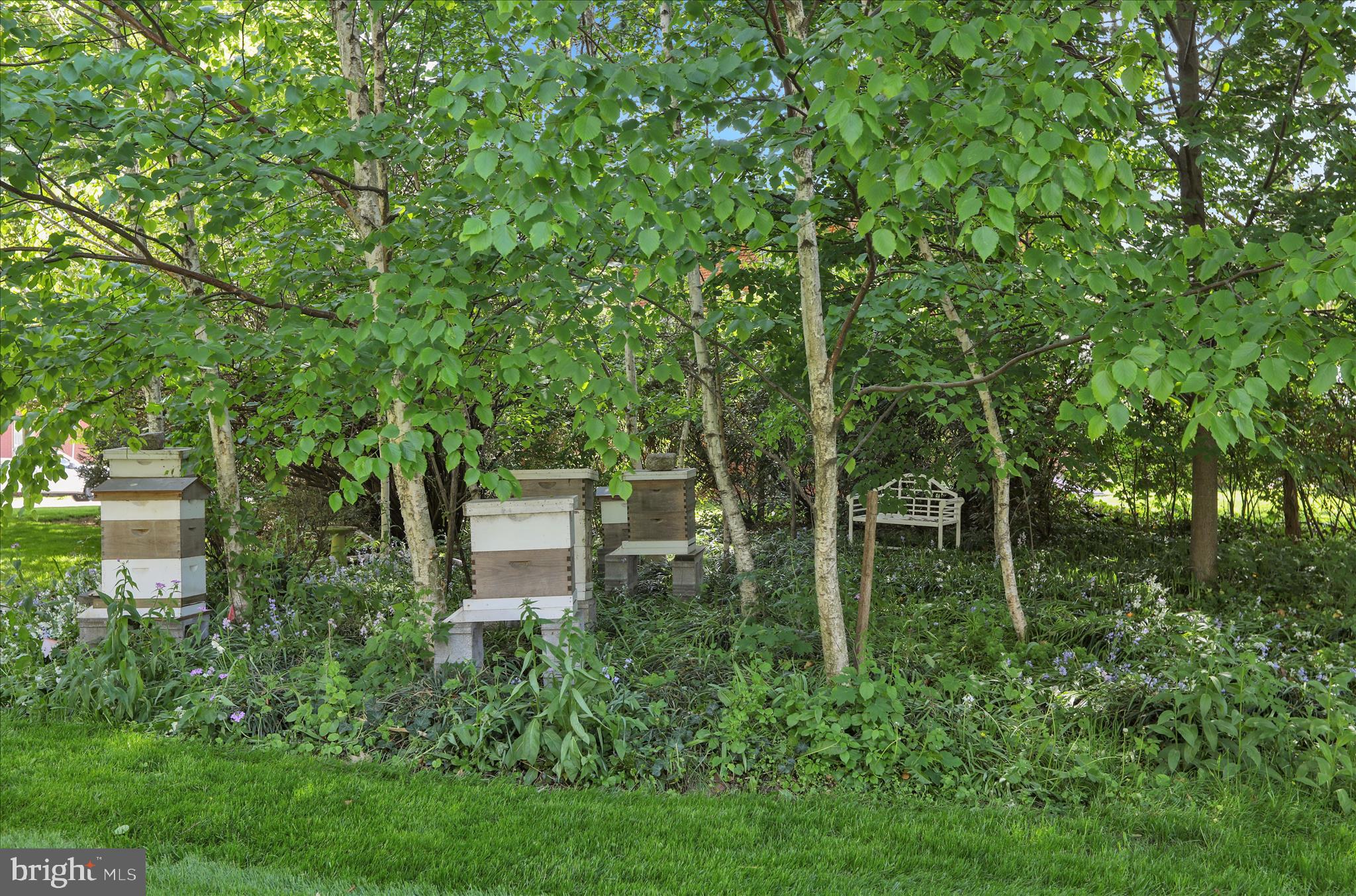 STRASBURG BOROUGH - Residential