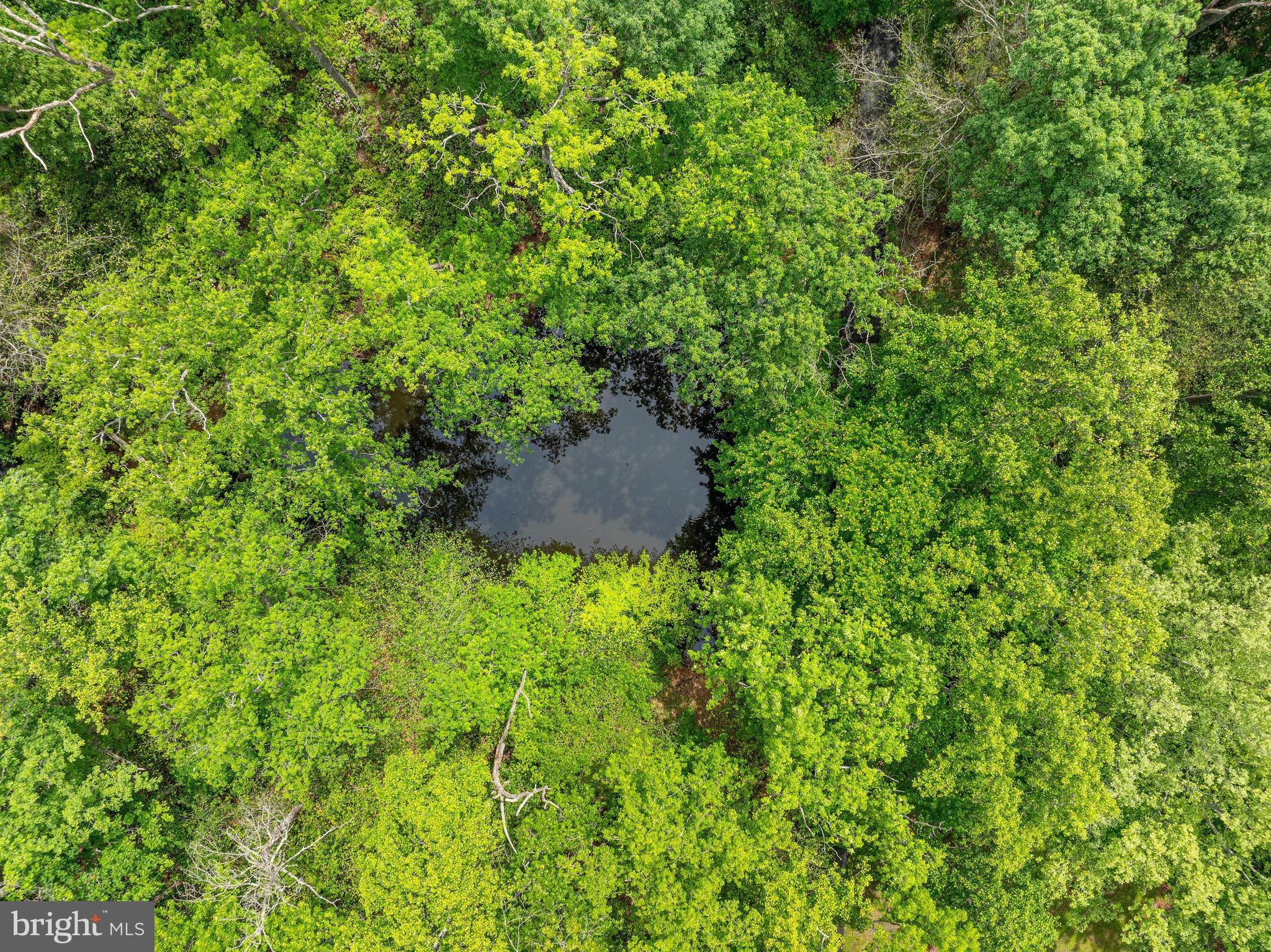 GREAT FALLS - Residential