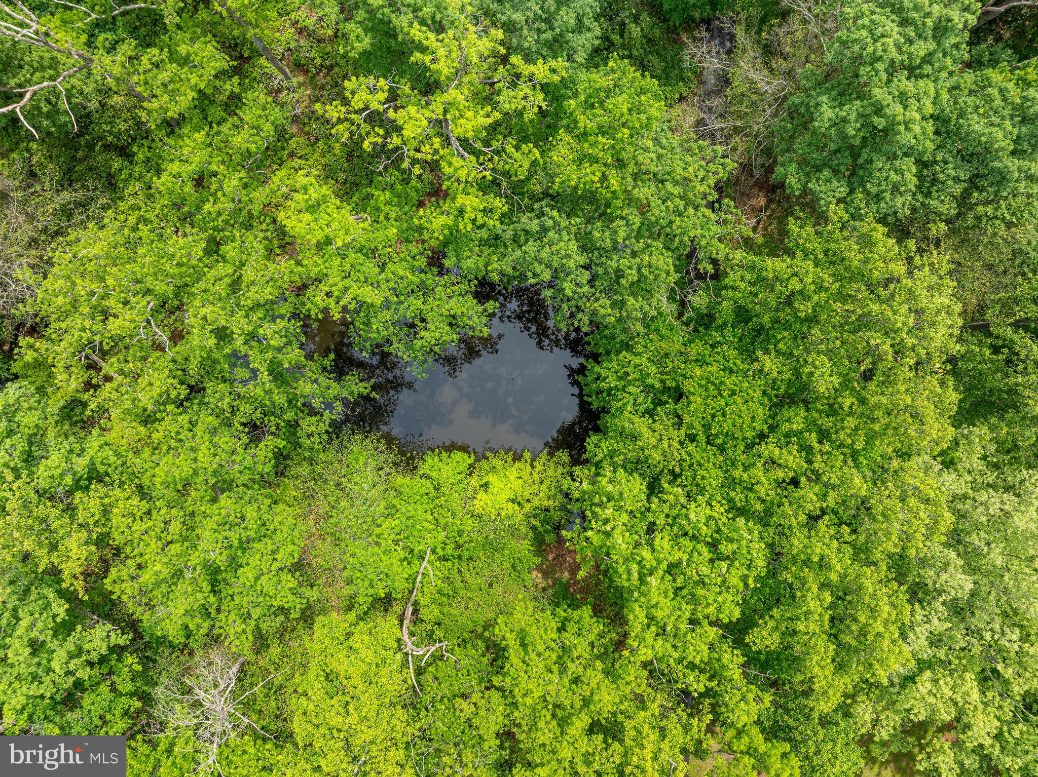 GREAT FALLS - Residential