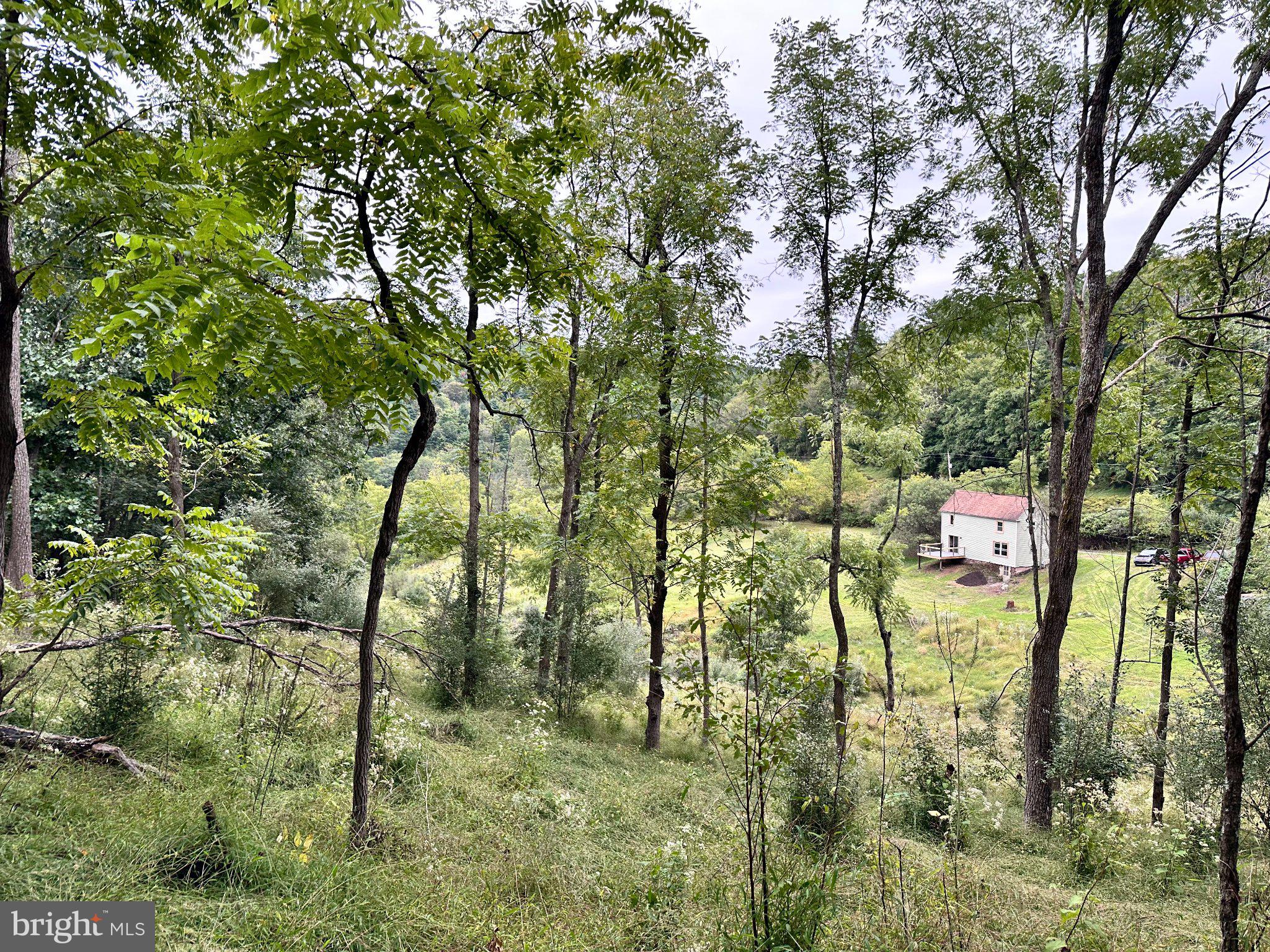 2052 RUNVILLE ROAD