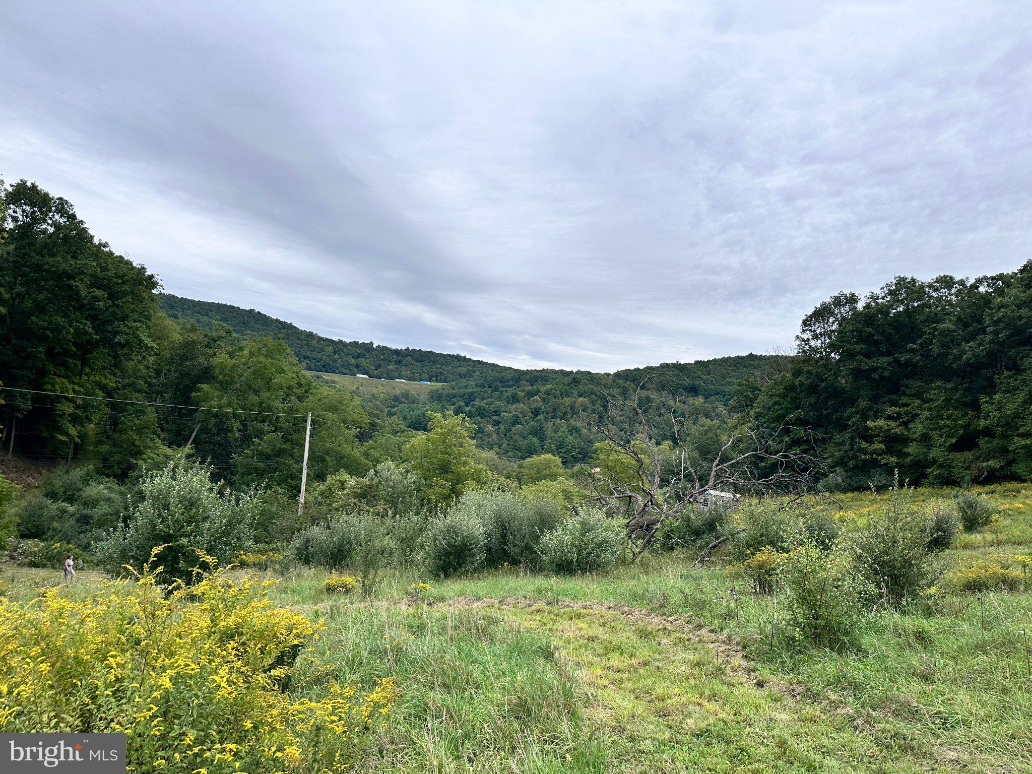 2052 RUNVILLE ROAD