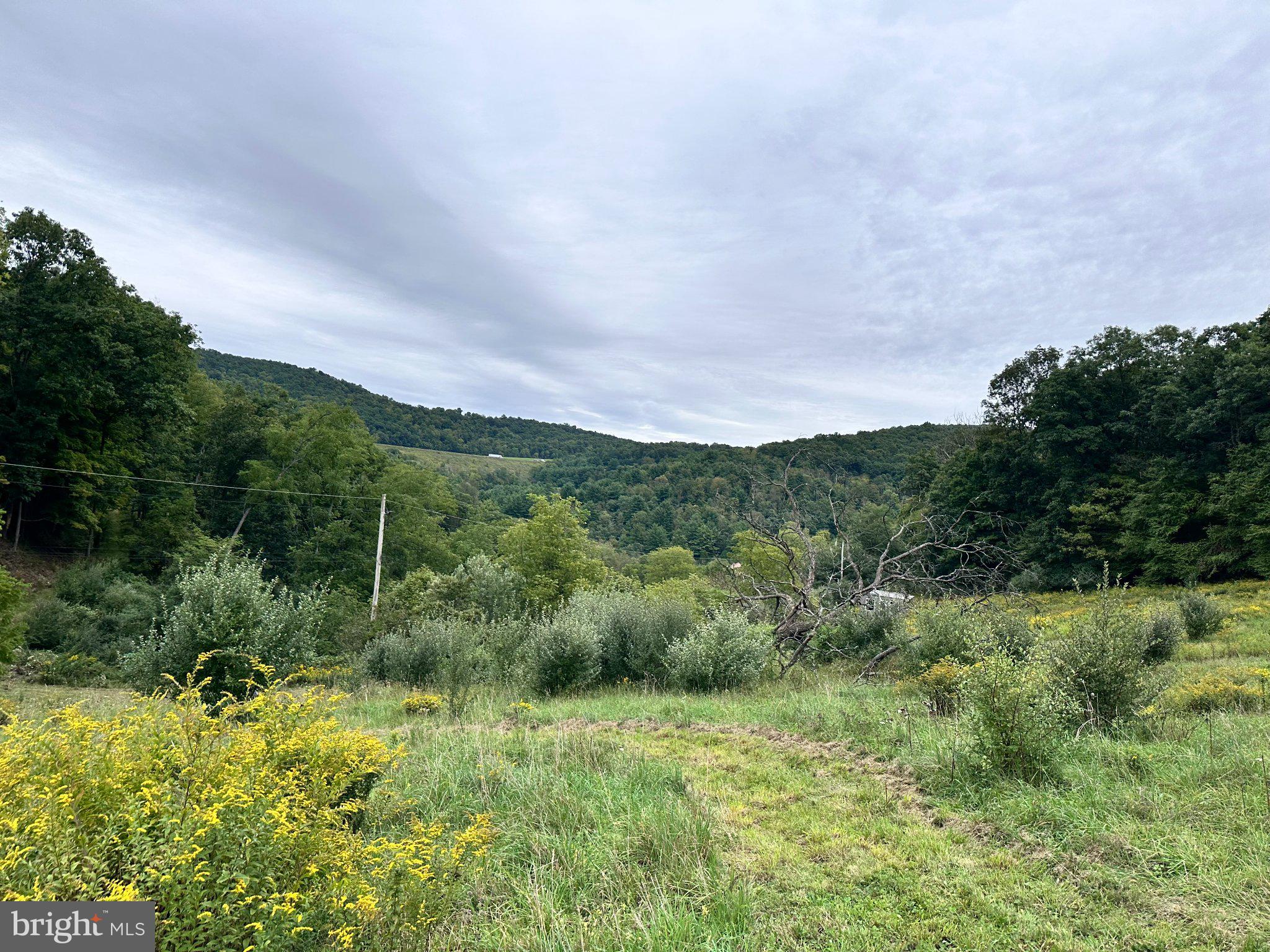 2052 RUNVILLE ROAD