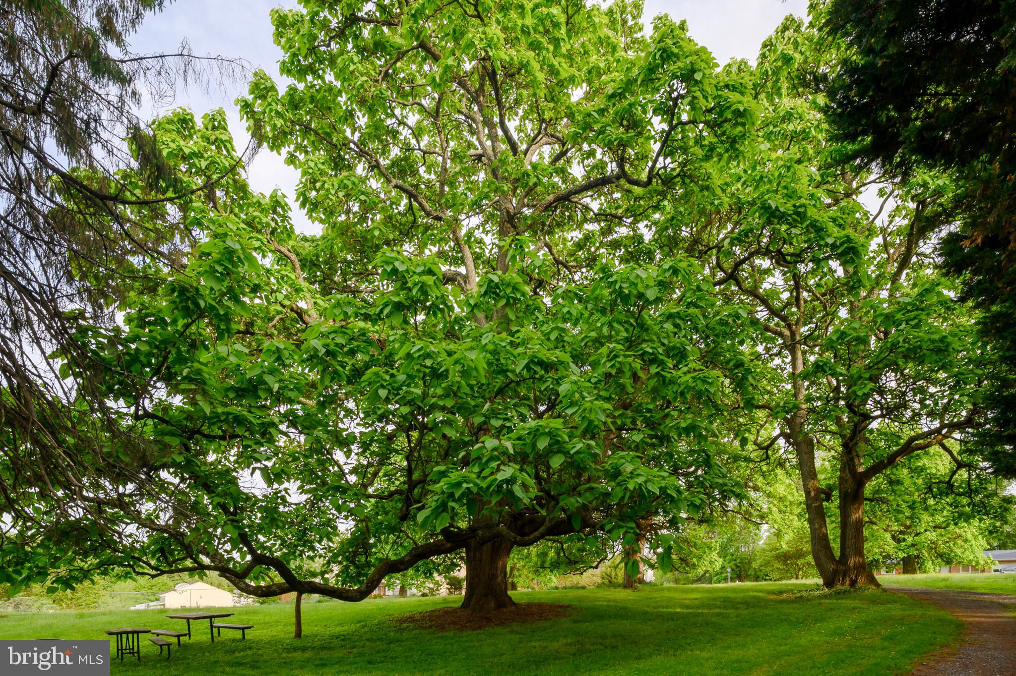 JAMES P CLEARY SUB - Residential