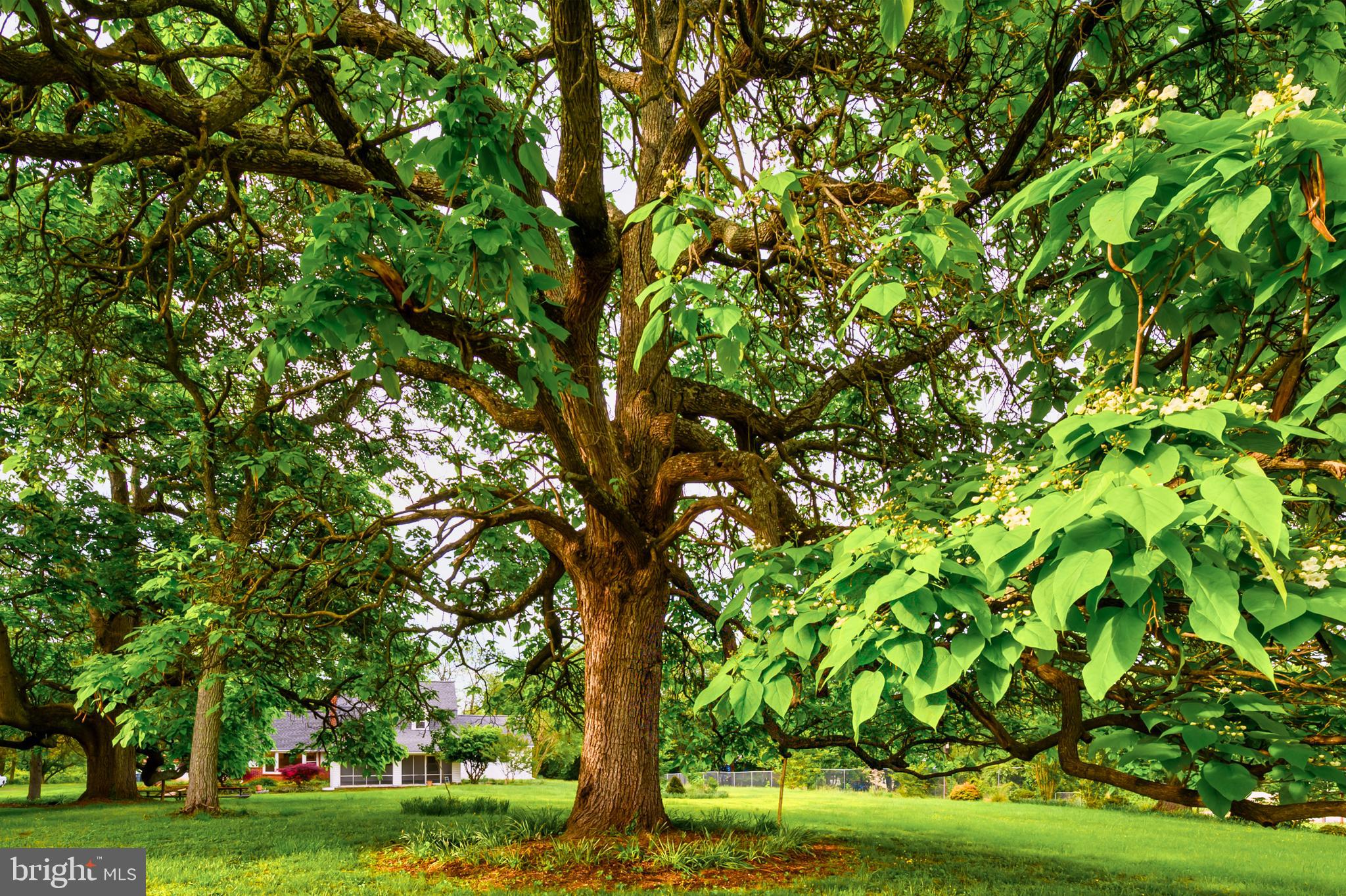 JAMES P CLEARY SUB - Residential