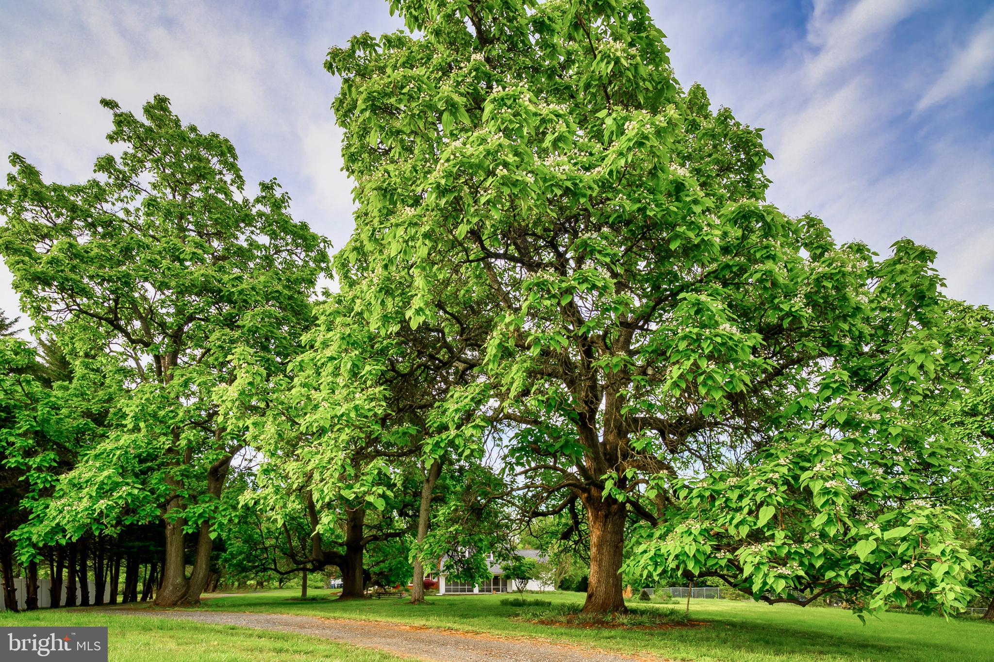 JAMES P CLEARY SUB - Residential