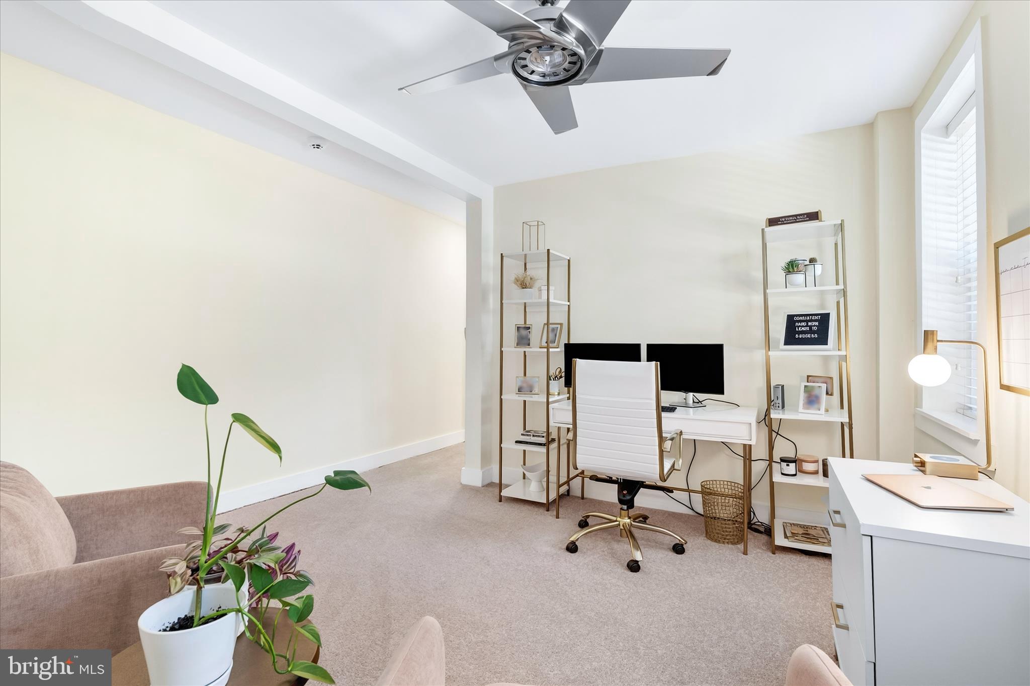 DOWNTOWN FREDERICK - Residential