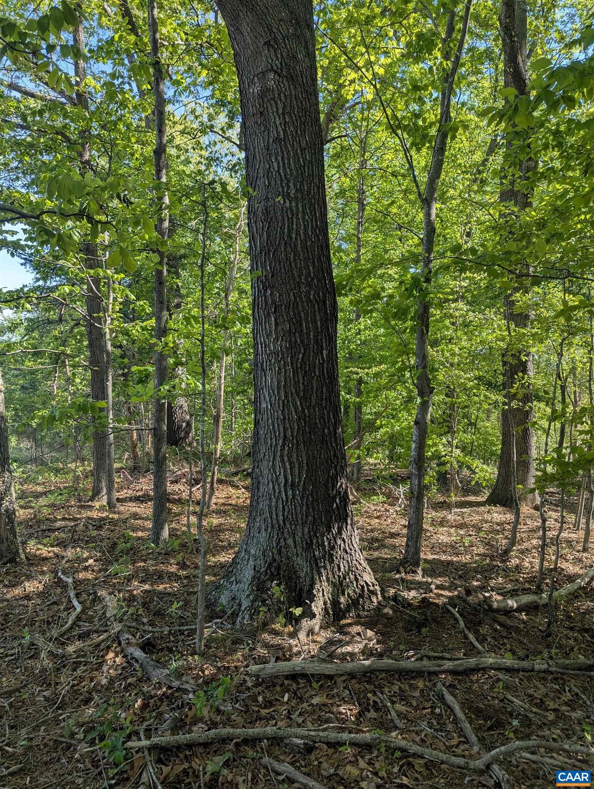 CENTENNIAL ESTATES - Land