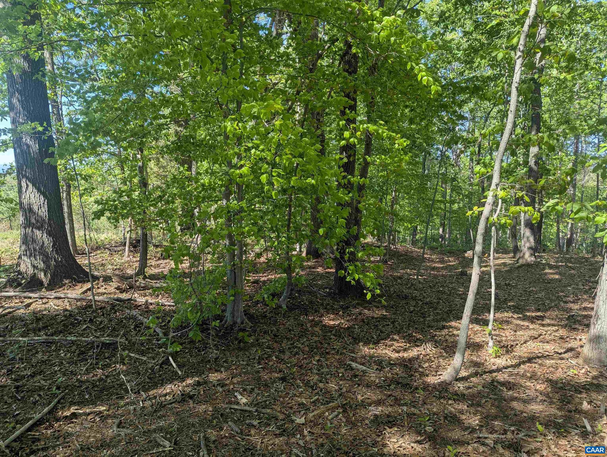 CENTENNIAL ESTATES - Land