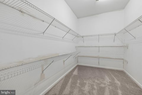 Tiny photo for 1024 Avalon Court, STEVENSVILLE, MD 21666 (MLS # MDQA2016944)