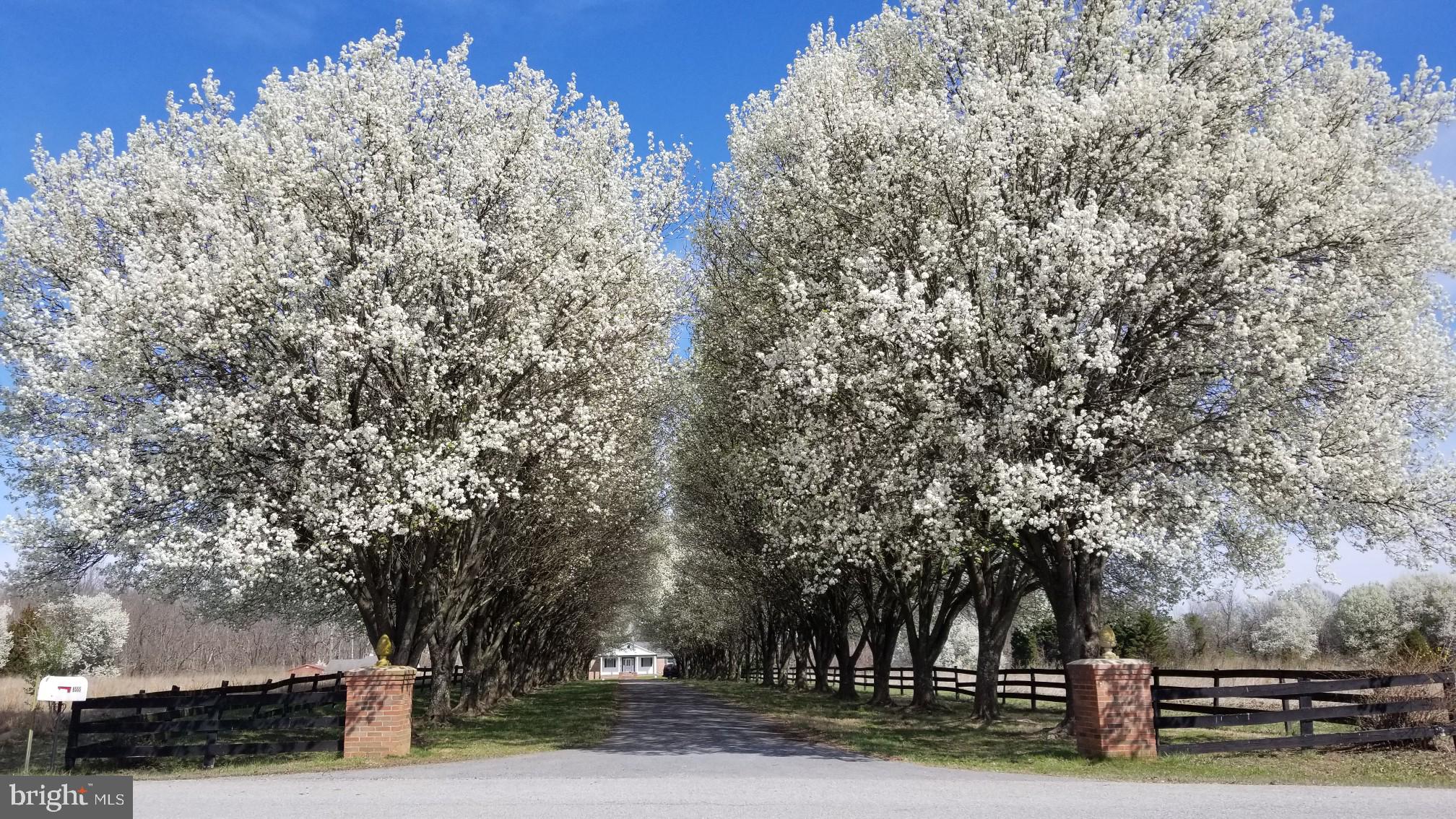 WELCOME ACRES SUB - Residential