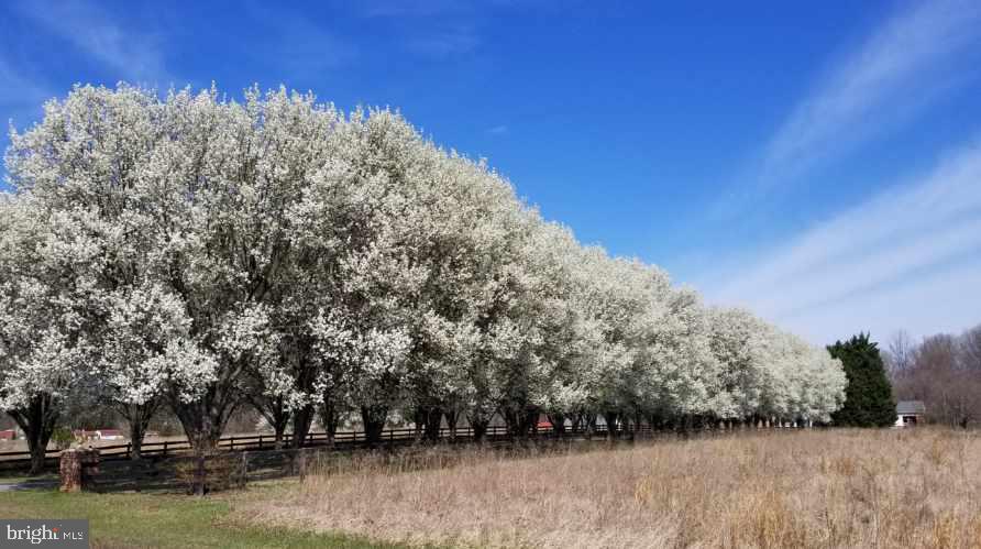 WELCOME ACRES SUB - Residential