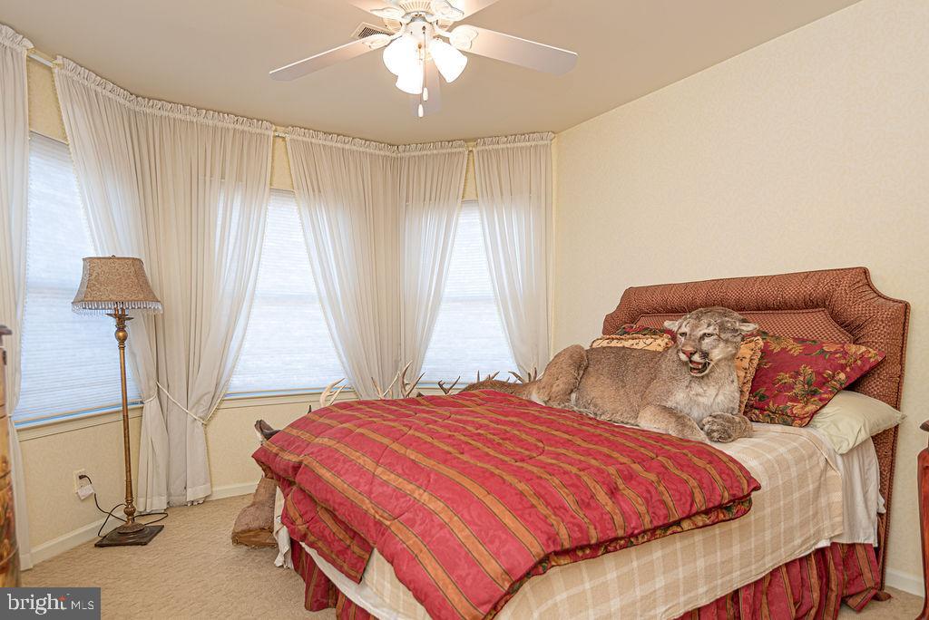 OCEAN PINES - WOOD DUCK ISLE I - Residential