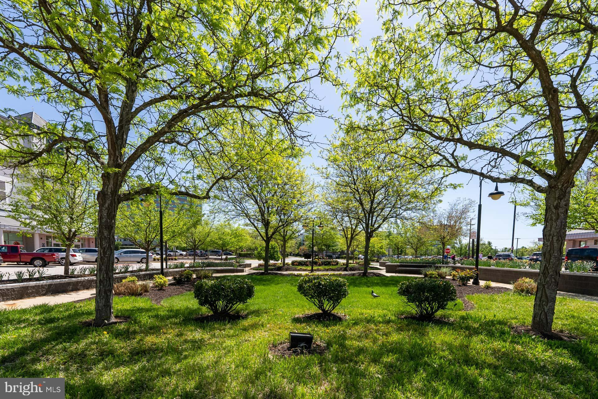 FAIRMONT - Residential Lease