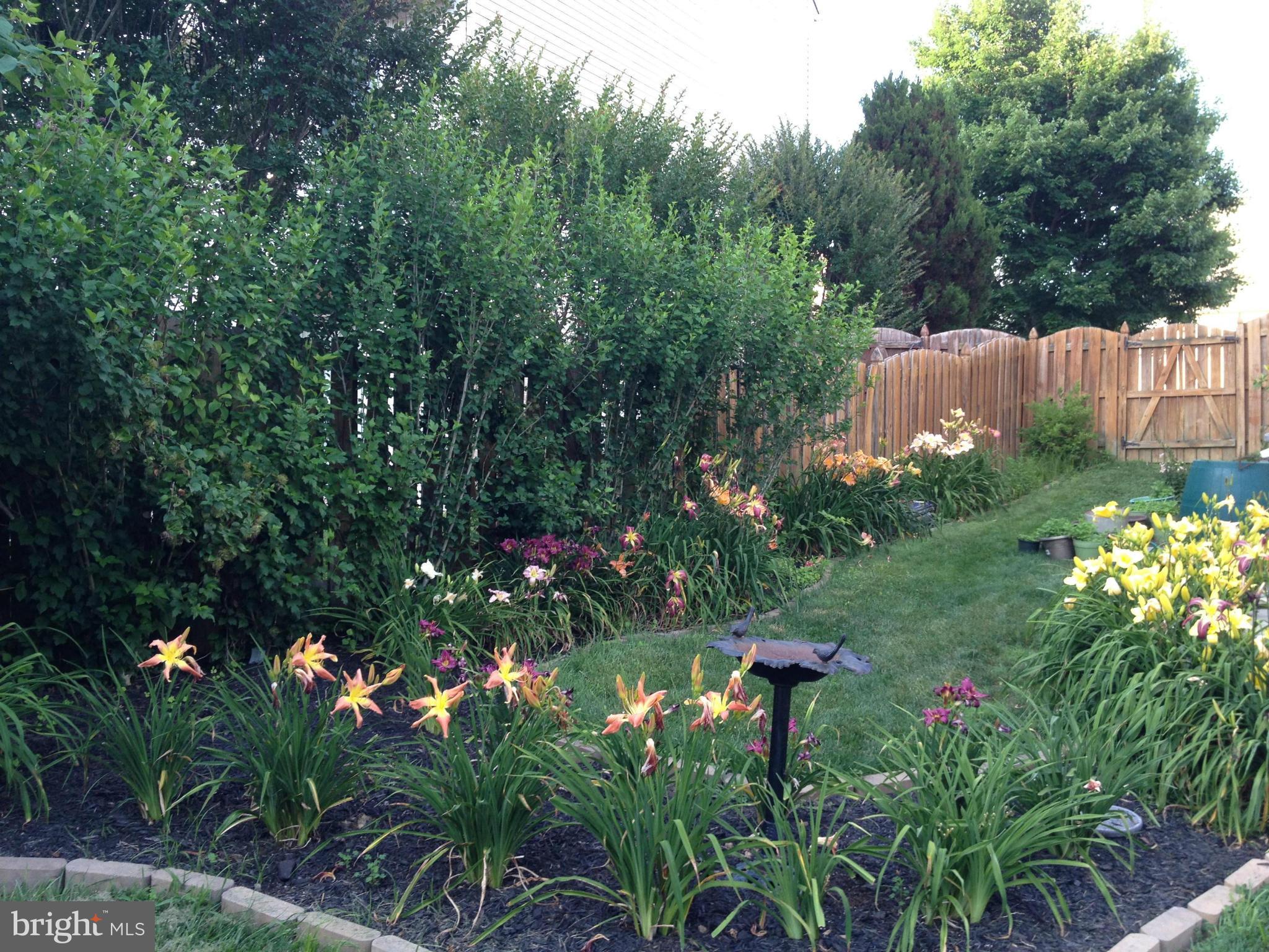 AUSTIN RIDGE - Residential