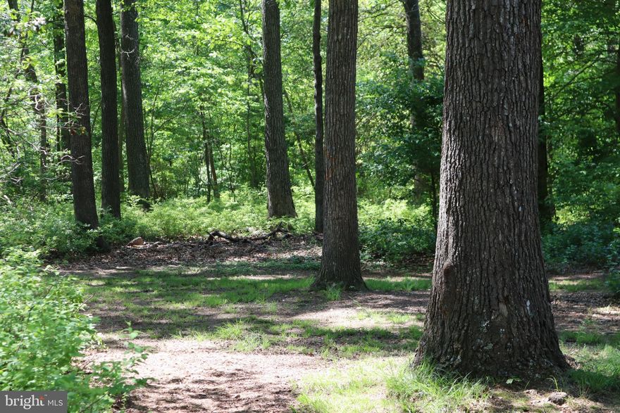 Incredible opportunity awaits you!  You are going to LOVE this 1 acre lot.  Public water, approved perc/septic, and record plat!  Build to suit!  This is a perfect location for someone that desires privacy and  space, yet close proximity to NSA/DISA/MEADE/US CYBER COM.  Easy commuter routes include MARC and BWI!  If you are ready to build your dream home without dealing with all the hassle, this is it!  Builder is on standby to help you with floor plan customization if needed.  Please see plat in photos.  Lot 2 is 1919 Montevideo.  Lots 1 and 3 are also available.