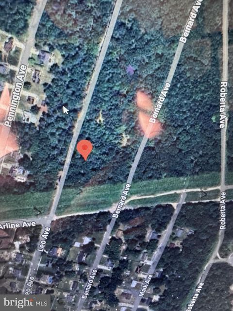 110 LEO AVENUE EGG HARBOR TOWNSHIP NJ 08234