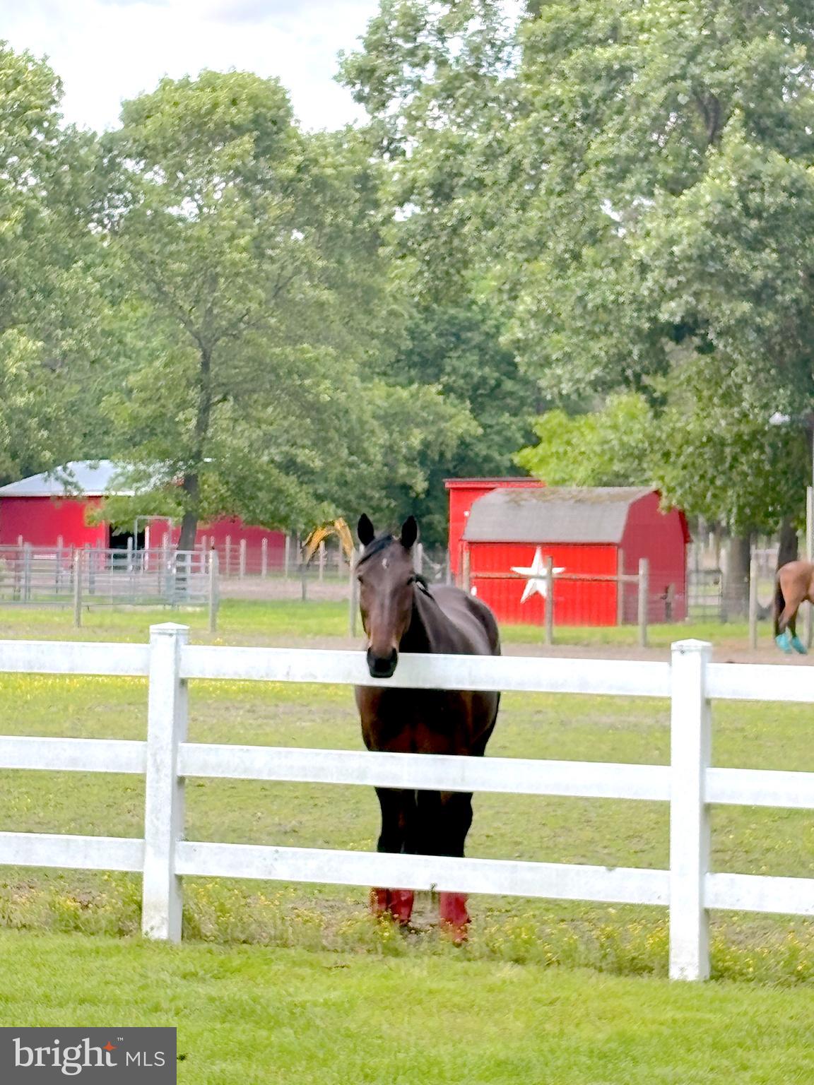 3138 - 3142 MOSS MILL ROAD