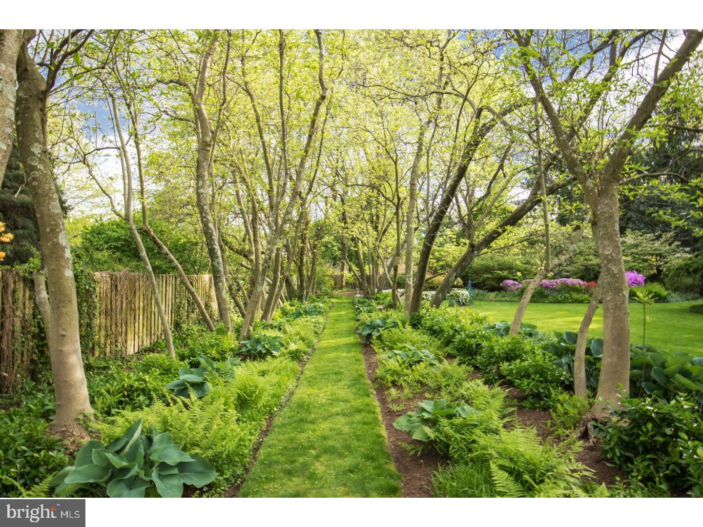 CHESTNUT HILL - Residential
