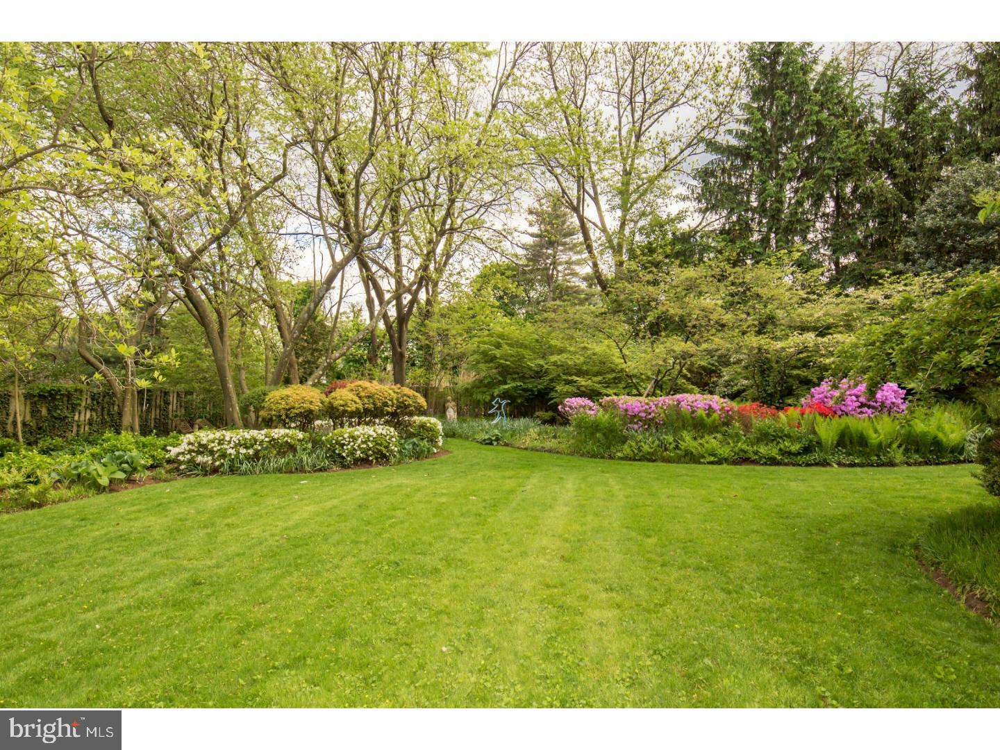 CHESTNUT HILL - Residential
