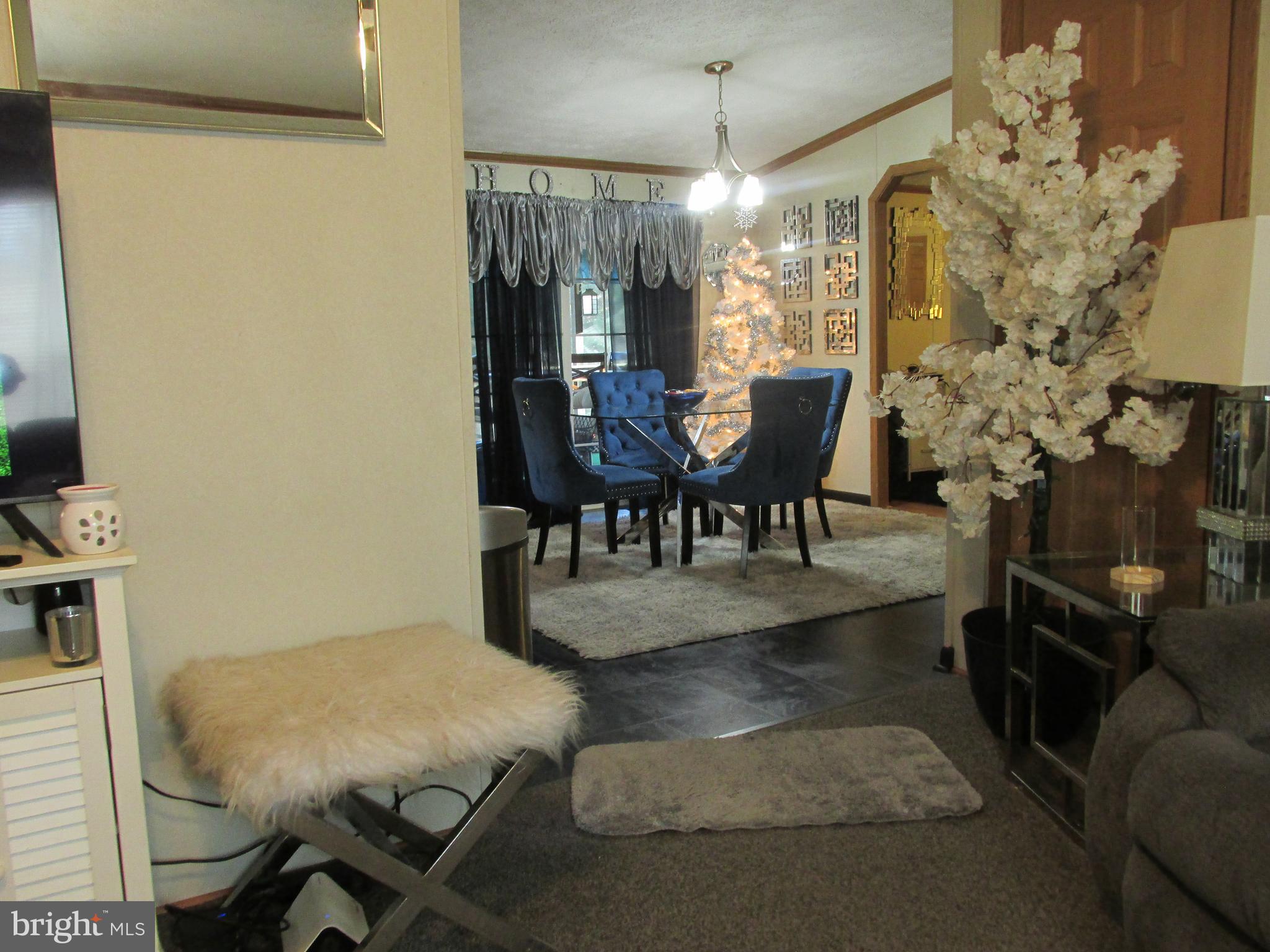 CABIN CREEK RIDGE - Residential