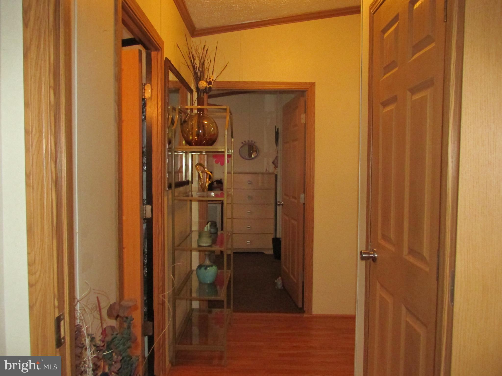 CABIN CREEK RIDGE - Residential