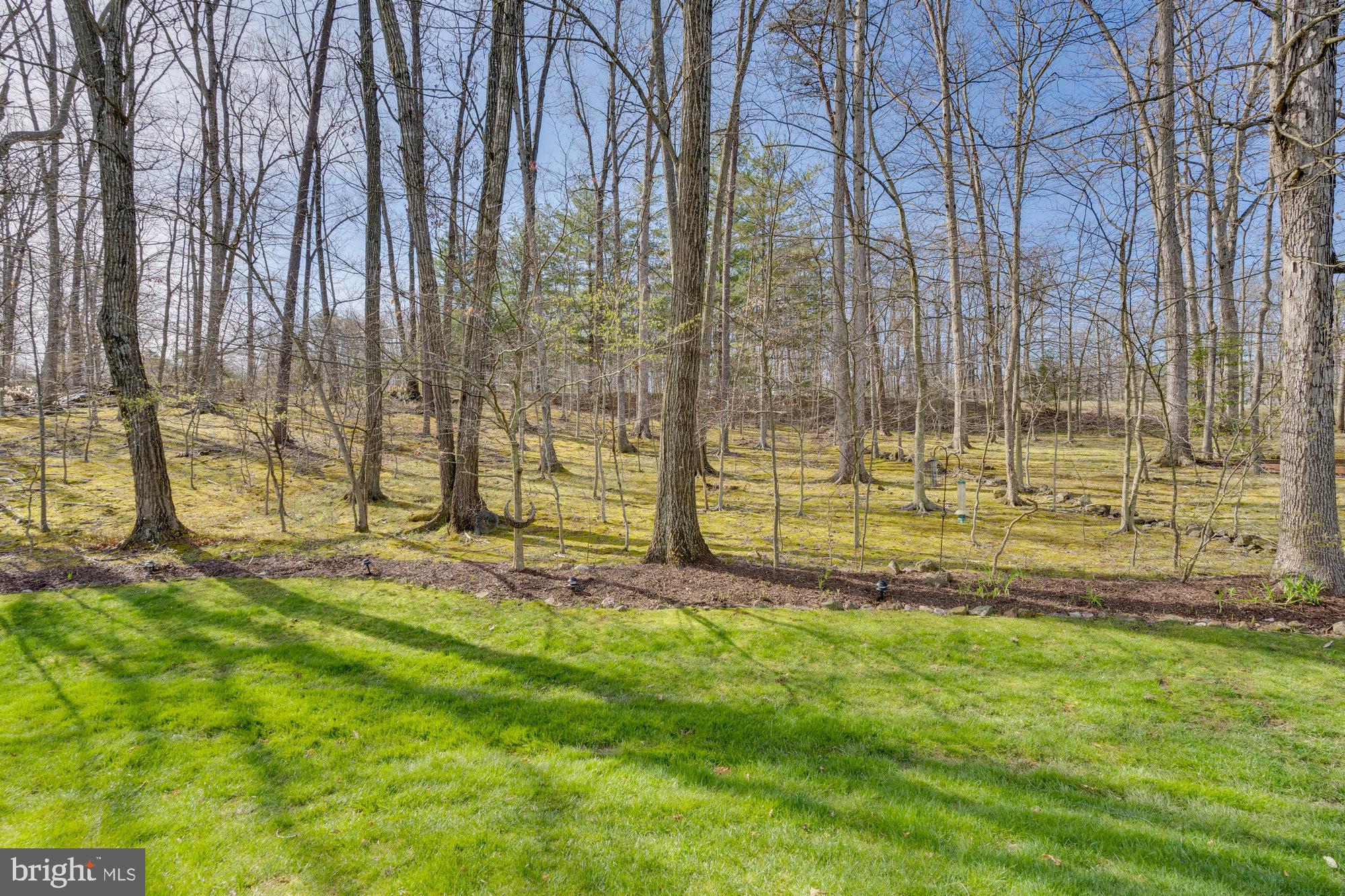 LITTLE ROCKY RUN - Residential