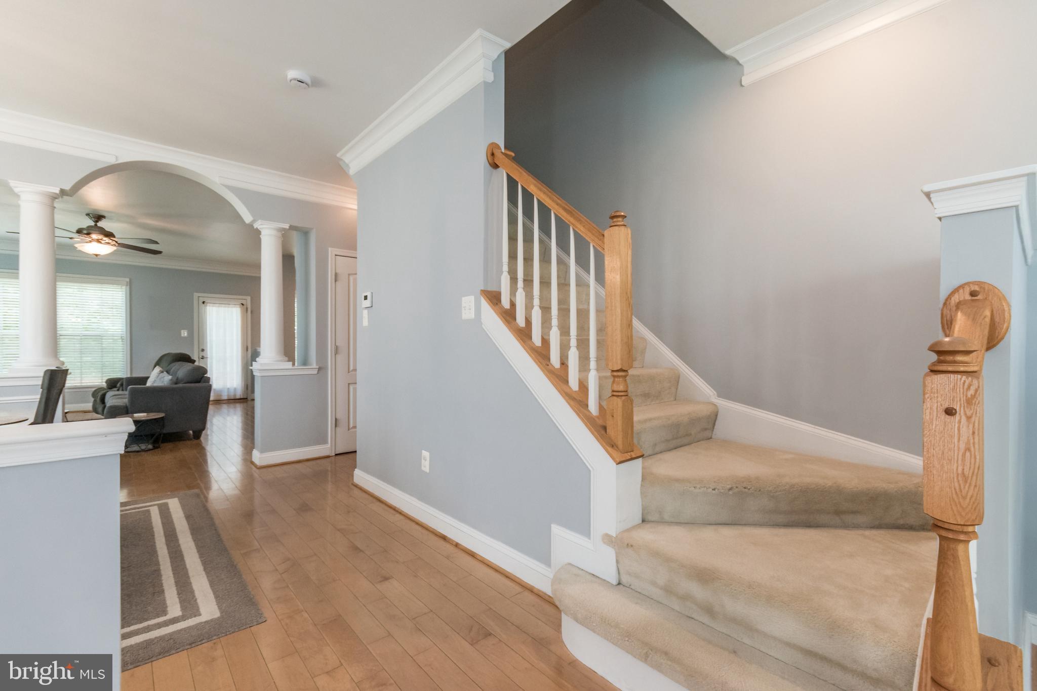 HAMMONDS MILL - Residential