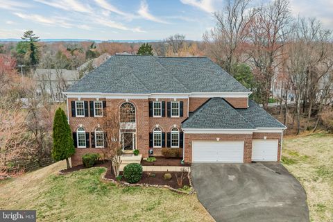 Photo of 1096 Liberty Meeting Court, HERNDON, VA 20170 (MLS # VAFX2295450)