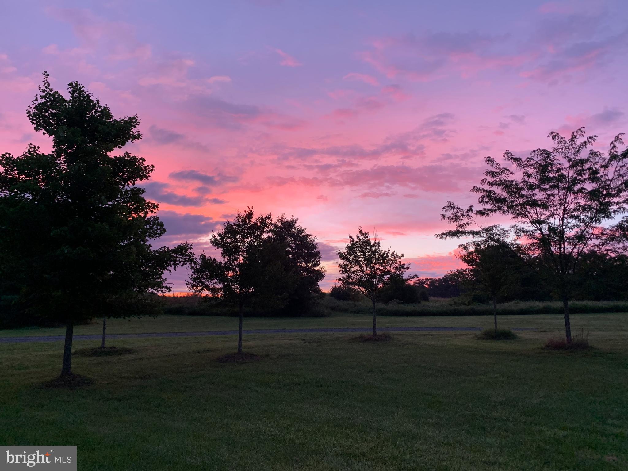 GREENE MILL PRESERVE - Residential