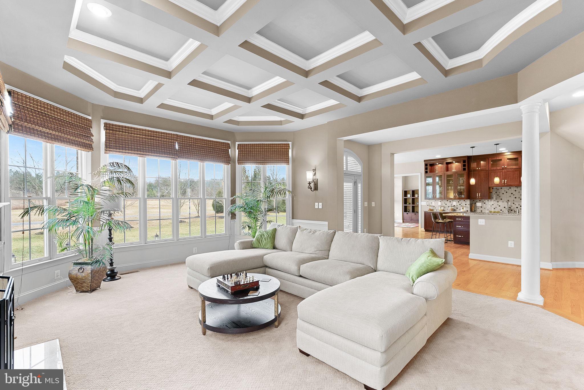 GREENE MILL PRESERVE - Residential